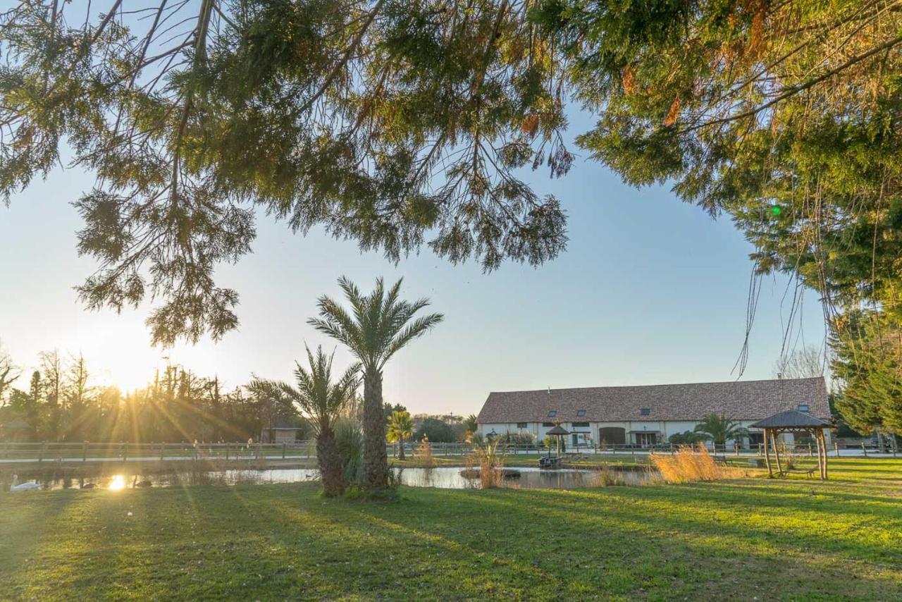 Abri Cosy - Suite Romantique En Camargue Saint-Gilles  Exteriör bild
