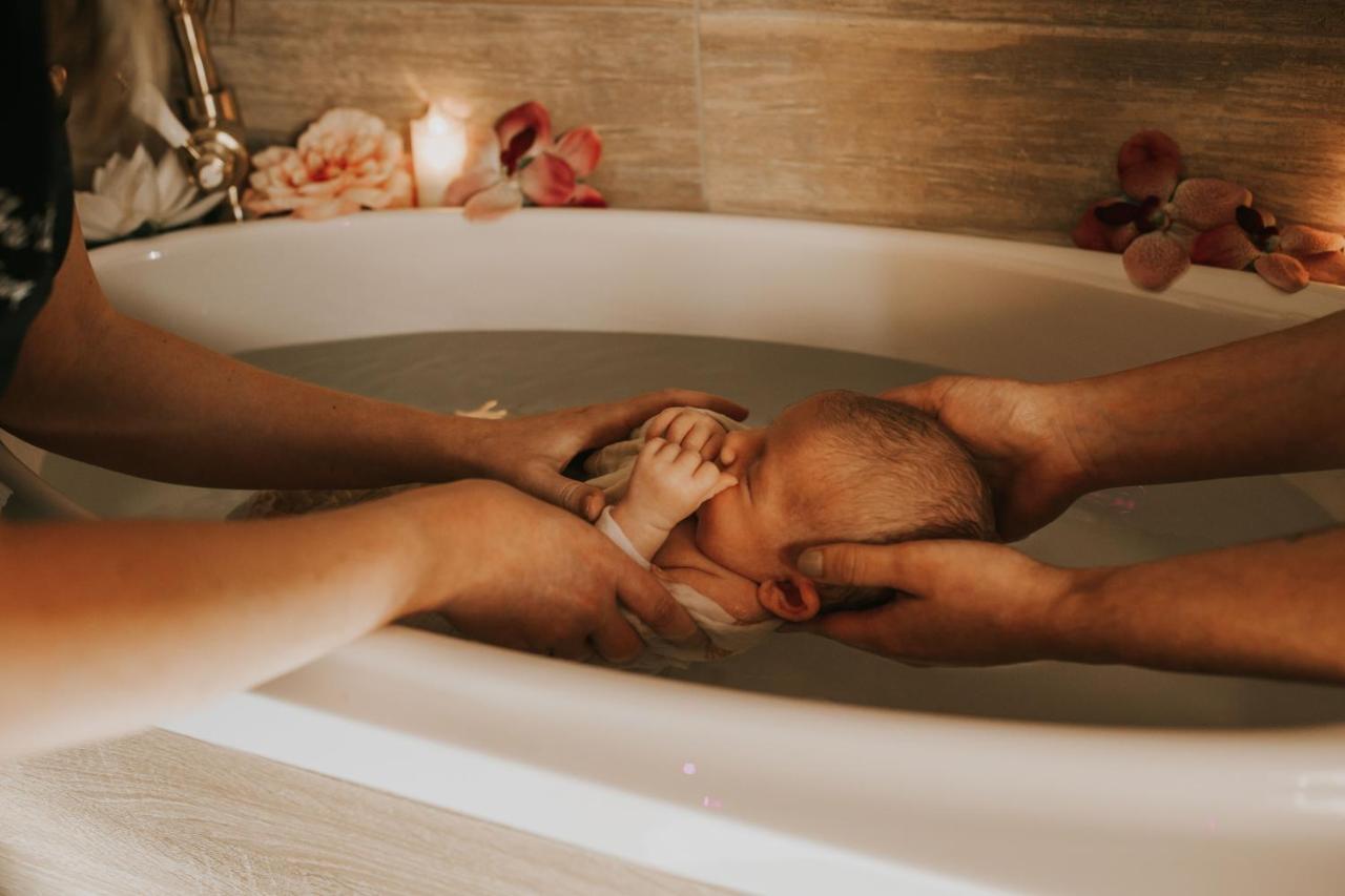 Abri Cosy - Suite Romantique En Camargue Saint-Gilles  Exteriör bild