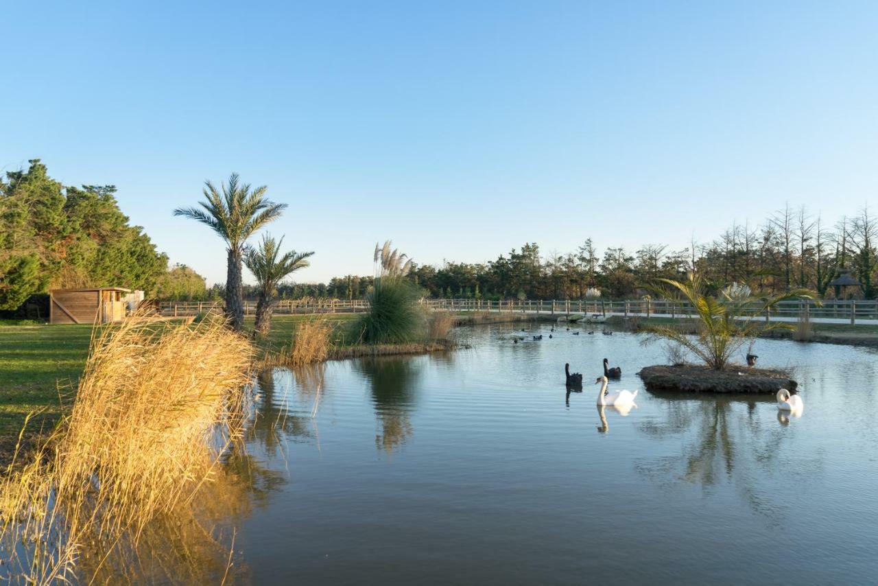 Abri Cosy - Suite Romantique En Camargue Saint-Gilles  Exteriör bild